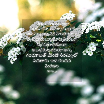 Picture 04 - ప్రకటన గ్రంథం 21:8 TELIRV - పిరికివారూ, - Bible Verse Picture