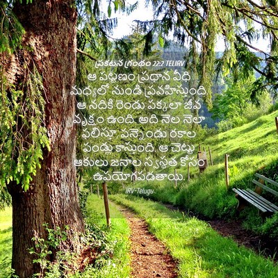 Picture 04 - ప్రకటన గ్రంథం 22:2 TELIRV - ఆ పట్టణం ప్రధాన - Bible Verse Picture