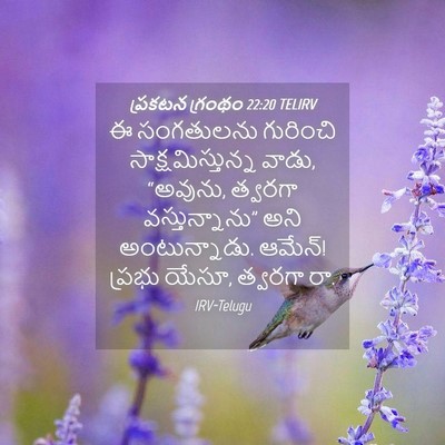 Picture 04 - ప్రకటన గ్రంథం 22:20 TELIRV - ఈ సంగతులను - Bible Verse Picture