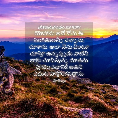 Picture 04 - ప్రకటన గ్రంథం 22:8 TELIRV - యోహాను అనే నేను ఈ - Bible Verse Picture
