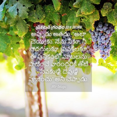 Picture 04 - ప్రకటన గ్రంథం 22:9 TELIRV - అప్పుడు అతడు, “అలా - Bible Verse Picture