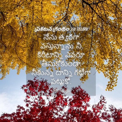 Picture 04 - ప్రకటన గ్రంథం 3:11 TELIRV - నేను త్వరగా - Bible Verse Picture