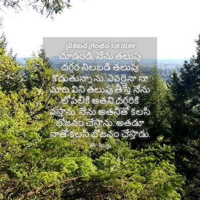 Picture 04 - ప్రకటన గ్రంథం 3:20 TELIRV - చూడండి, నేను తలుపు - Bible Verse Picture