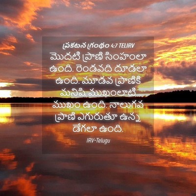 Picture 04 - ప్రకటన గ్రంథం 4:7 TELIRV - మొదటి ప్రాణి - Bible Verse Picture