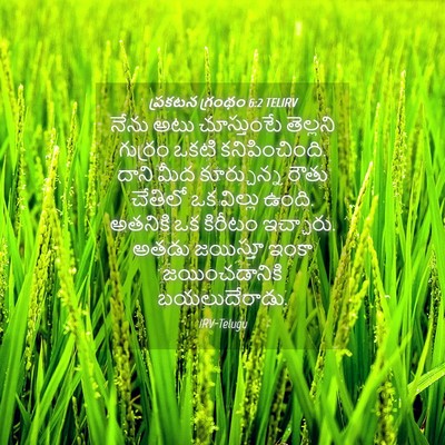 Picture 04 - ప్రకటన గ్రంథం 6:2 TELIRV - నేను అటు - Bible Verse Picture