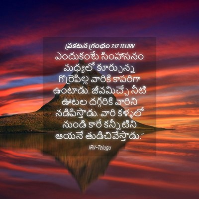 Picture 04 - ప్రకటన గ్రంథం 7:17 TELIRV - ఎందుకంటే సింహాసనం - Bible Verse Picture