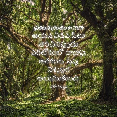 Picture 04 - ప్రకటన గ్రంథం 8:1 TELIRV - ఆయన ఏడవ సీలు - Bible Verse Picture