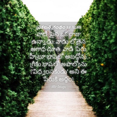 Picture 04 - ప్రకటన గ్రంథం 9:11 TELIRV - వాటి పైన ఒక రాజు - Bible Verse Picture
