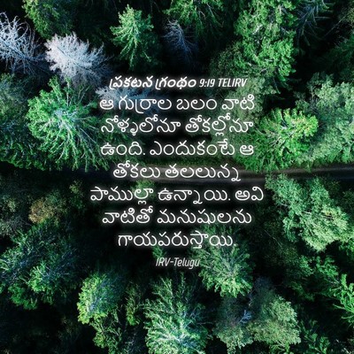 Picture 04 - ప్రకటన గ్రంథం 9:19 TELIRV - ఆ గుర్రాల బలం వాటి - Bible Verse Picture