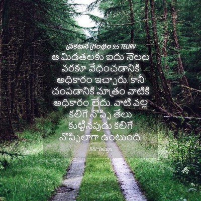 Picture 04 - ప్రకటన గ్రంథం 9:5 TELIRV - ఆ మిడతలకు ఐదు నెలల - Bible Verse Picture