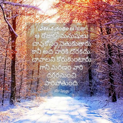 Picture 04 - ప్రకటన గ్రంథం 9:6 TELIRV - ఆ రోజుల్లో - Bible Verse Picture
