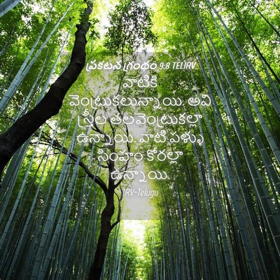 Picture 04 - ప్రకటన గ్రంథం 9:8 TELIRV - వాటికి - Bible Verse Picture