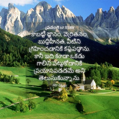 Picture 04 - ప్రసంగి 1:17 TELIRV - కాబట్టి జ్ఞానం, - Bible Verse Picture