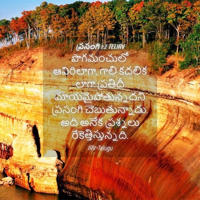 Picture 04 - ప్రసంగి 1:2 TELIRV - పొగమంచులో - Bible Verse Picture