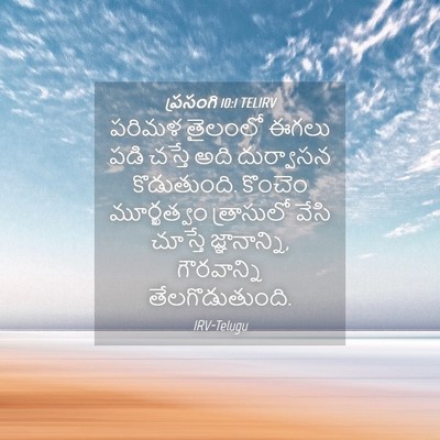 Picture 04 - ప్రసంగి 10:1 TELIRV - పరిమళ తైలంలో ఈగలు - Bible Verse Picture