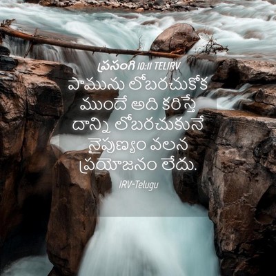 Picture 04 - ప్రసంగి 10:11 TELIRV - పామును లోబరచుకోక - Bible Verse Picture
