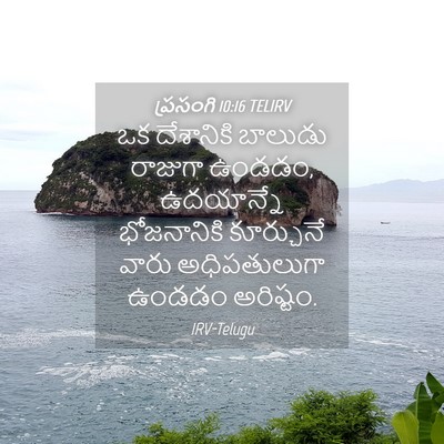 Picture 04 - ప్రసంగి 10:16 TELIRV - ఒక దేశానికి - Bible Verse Picture