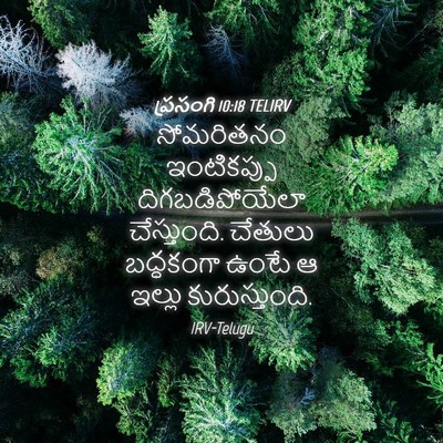Picture 04 - ప్రసంగి 10:18 TELIRV - సోమరితనం - Bible Verse Picture