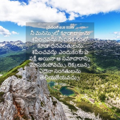 Picture 04 - ప్రసంగి 10:20 TELIRV - నీ మనస్సులో కూడా - Bible Verse Picture