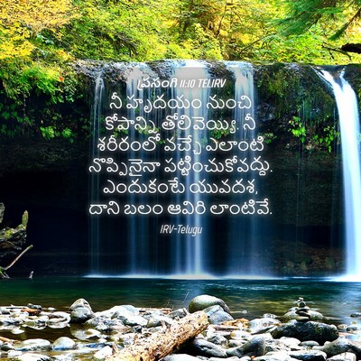 Picture 04 - ప్రసంగి 11:10 TELIRV - నీ హృదయం నుంచి - Bible Verse Picture