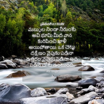 Picture 04 - ప్రసంగి 11:3 TELIRV - మబ్బుల నిండా - Bible Verse Picture
