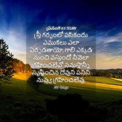 Picture 04 - ప్రసంగి 11:5 TELIRV - స్త్రీ గర్భంలో - Bible Verse Picture
