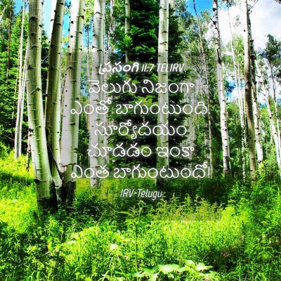 Picture 04 - ప్రసంగి 11:7 TELIRV - వెలుగు నిజంగా - Bible Verse Picture