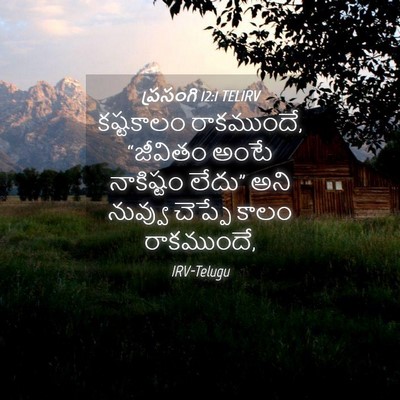 Picture 04 - ప్రసంగి 12:1 TELIRV - కష్టకాలం - Bible Verse Picture