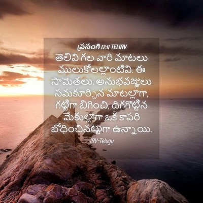 Picture 04 - ప్రసంగి 12:11 TELIRV - తెలివి గల వారి - Bible Verse Picture