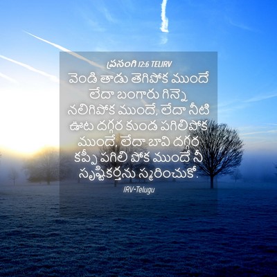 Picture 04 - ప్రసంగి 12:6 TELIRV - వెండి తాడు - Bible Verse Picture