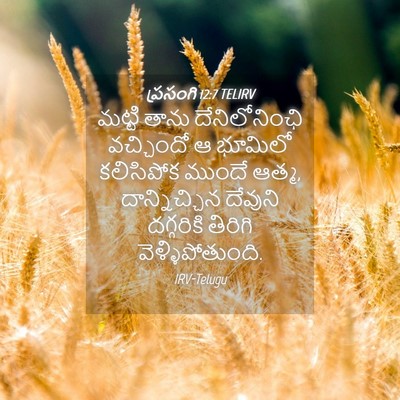 Picture 04 - ప్రసంగి 12:7 TELIRV - మట్టి తాను - Bible Verse Picture