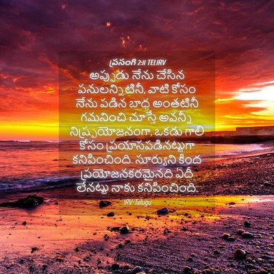 Picture 04 - ప్రసంగి 2:11 TELIRV - అప్పుడు నేను - Bible Verse Picture