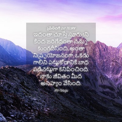 Picture 04 - ప్రసంగి 2:17 TELIRV - ఇదంతా చూస్తే - Bible Verse Picture