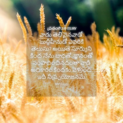 Picture 04 - ప్రసంగి 2:19 TELIRV - వాడు తెలివైనవాడో, - Bible Verse Picture