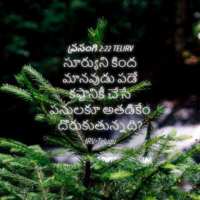 Picture 04 - ప్రసంగి 2:22 TELIRV - సూర్యుని కింద - Bible Verse Picture