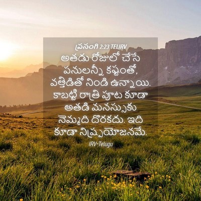 Picture 04 - ప్రసంగి 2:23 TELIRV - అతడు రోజులో చేసే - Bible Verse Picture