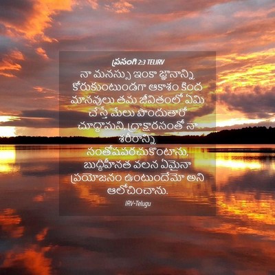 Picture 04 - ప్రసంగి 2:3 TELIRV - నా మనస్సు ఇంకా - Bible Verse Picture