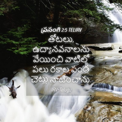 Picture 04 - ప్రసంగి 2:5 TELIRV - తోటలు, - Bible Verse Picture