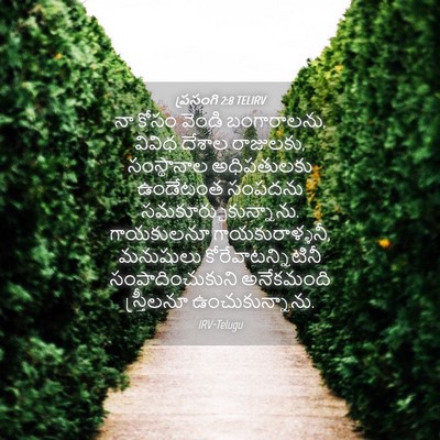 Picture 04 - ప్రసంగి 2:8 TELIRV - నా కోసం వెండి - Bible Verse Picture