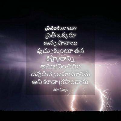 Picture 04 - ప్రసంగి 3:13 TELIRV - ప్రతి ఒక్కరూ - Bible Verse Picture
