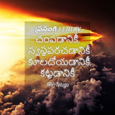 Picture 04 - ప్రసంగి 3:3 TELIRV - చంపడానికీ, - Bible Verse Picture