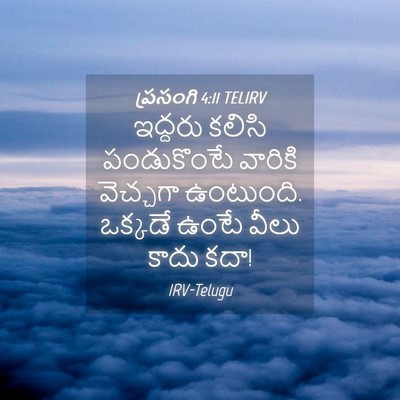 Picture 04 - ప్రసంగి 4:11 TELIRV - ఇద్దరు కలిసి - Bible Verse Picture