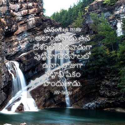 Picture 04 - ప్రసంగి 4:14 TELIRV - అలాంటివాడు తన - Bible Verse Picture