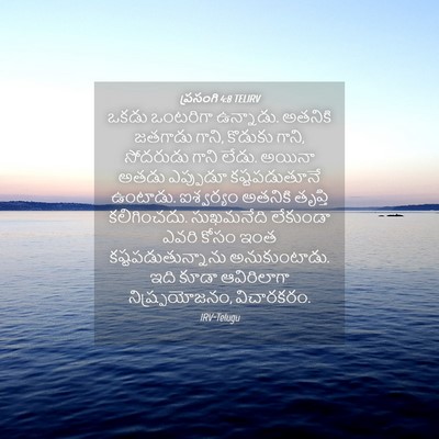Picture 04 - ప్రసంగి 4:8 TELIRV - ఒకడు ఒంటరిగా - Bible Verse Picture