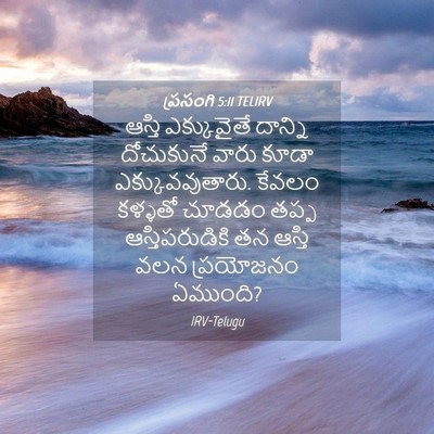 Picture 04 - ప్రసంగి 5:11 TELIRV - ఆస్తి ఎక్కువైతే - Bible Verse Picture