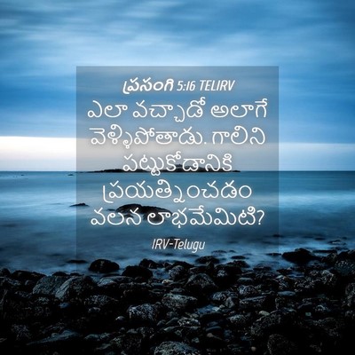 Picture 04 - ప్రసంగి 5:16 TELIRV - ఎలా వచ్చాడో అలాగే - Bible Verse Picture