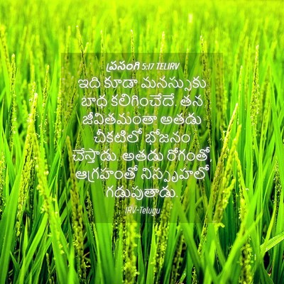 Picture 04 - ప్రసంగి 5:17 TELIRV - ఇది కూడా మనస్సుకు - Bible Verse Picture