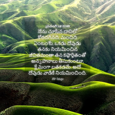 Picture 04 - ప్రసంగి 5:18 TELIRV - నేను చూసిన దానిలో - Bible Verse Picture