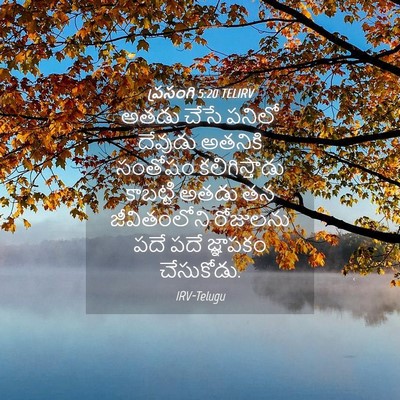 Picture 04 - ప్రసంగి 5:20 TELIRV - అతడు చేసే పనిలో - Bible Verse Picture