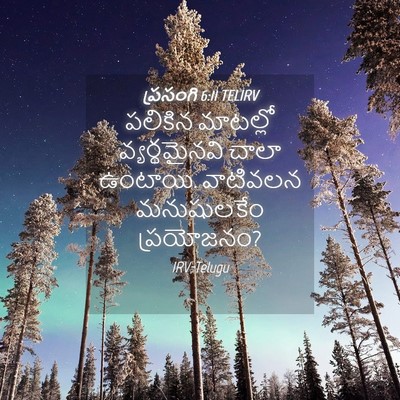 Picture 04 - ప్రసంగి 6:11 TELIRV - పలికిన మాటల్లో - Bible Verse Picture